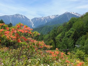 【ご好評により開通期間延期】寺沢林道工事期間変更のお知らせ