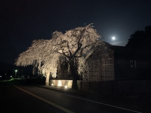 平成最後の満月と…。