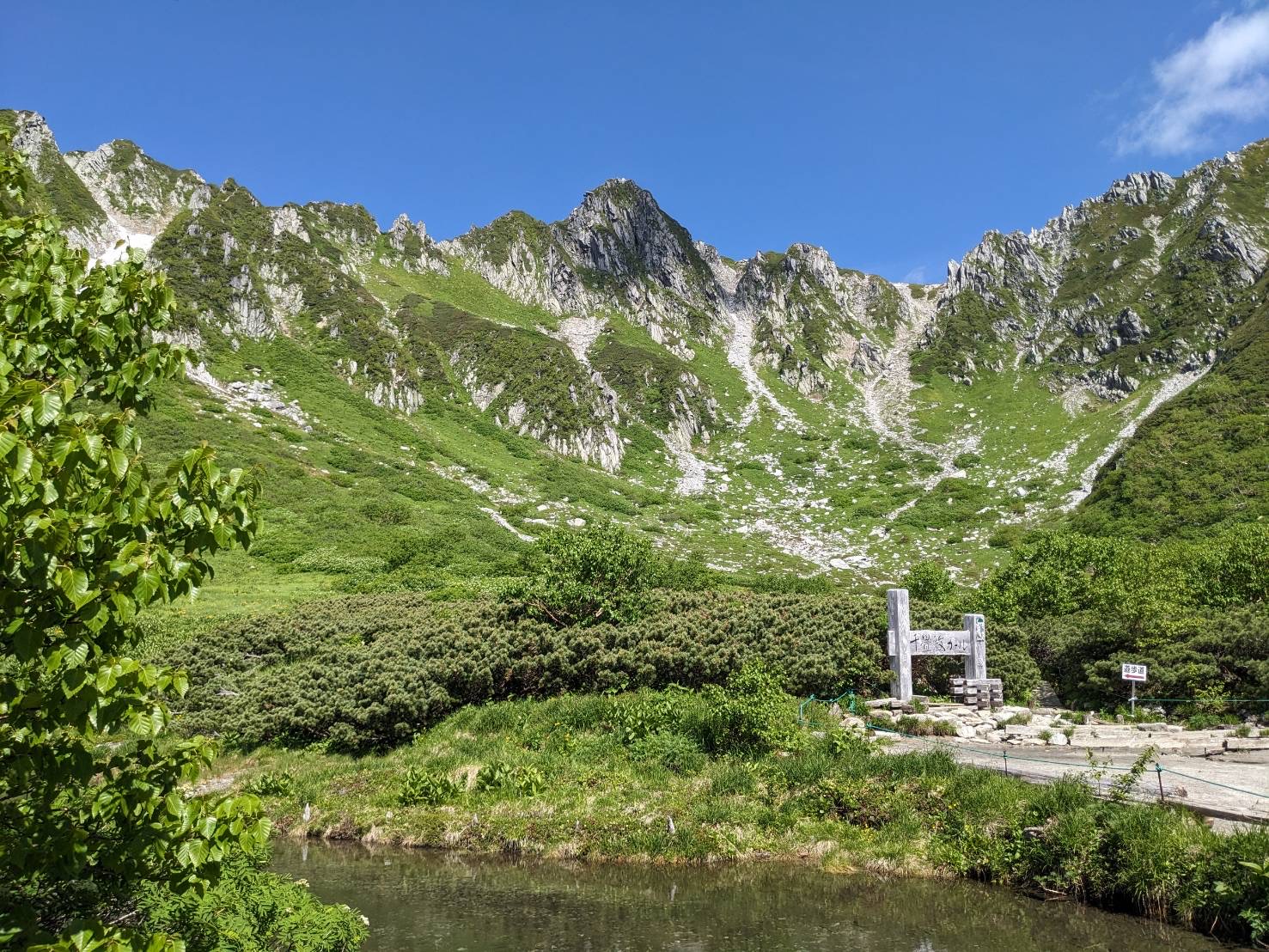 中央アルプスの高山植物 – 信州みやだ観光ガイド | 長野県宮田村・木曽駒ヶ岳の観光情報サイト