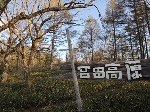 宮田高原